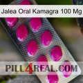 Oral Jelly Kamagra 100 Mg 09